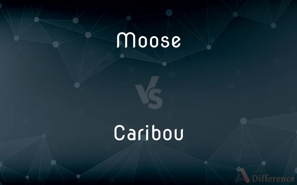 Moose vs. Caribou — What's the Difference?