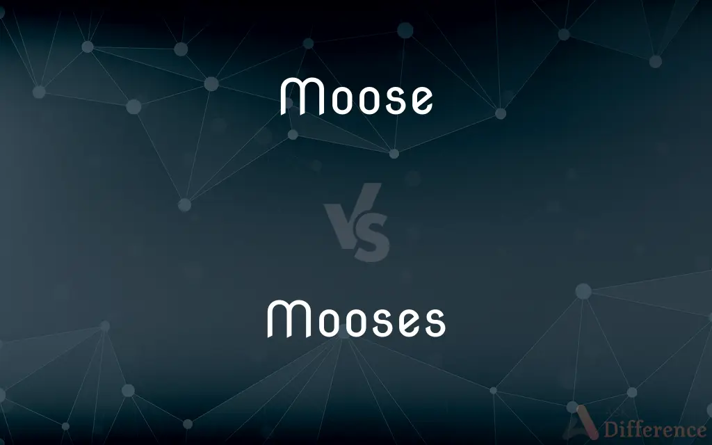 Moose vs. Mooses — Which is Correct Spelling?