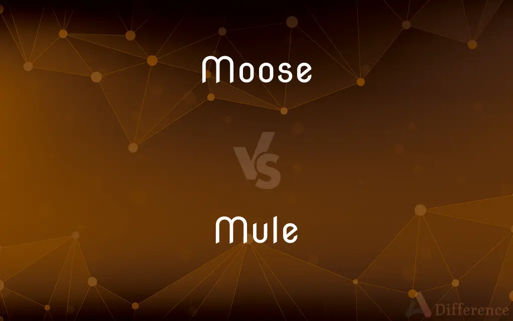 Moose vs. Mule
