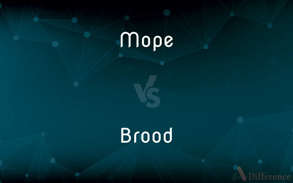 Mope vs. Brood — What's the Difference?