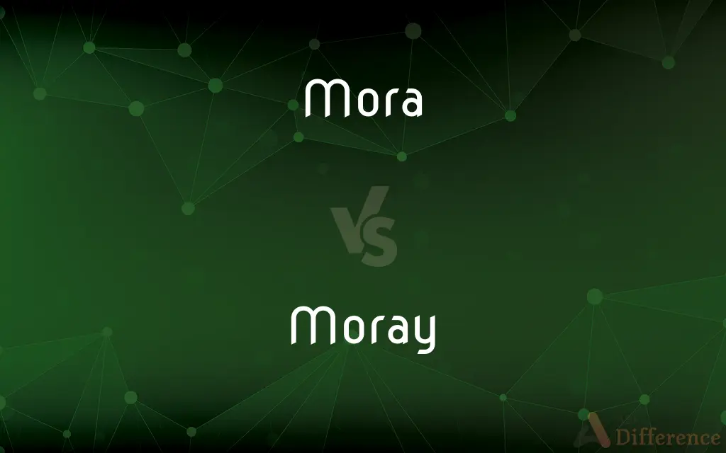 Mora vs. Moray — What's the Difference?