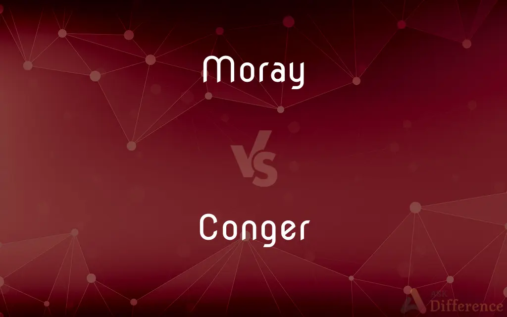 Moray vs. Conger — What's the Difference?
