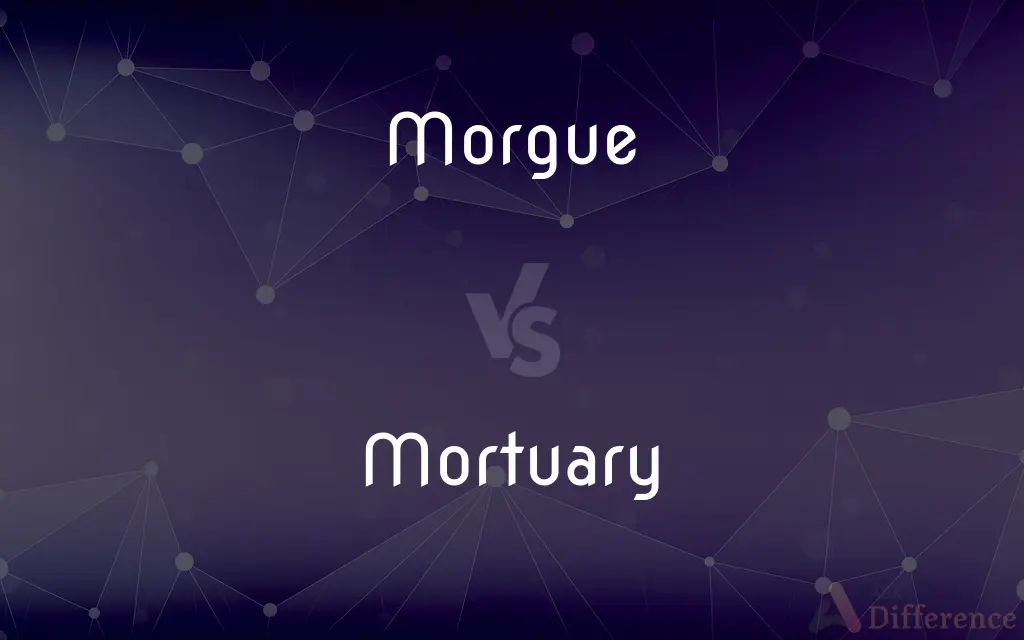Morgue vs. Mortuary — What's the Difference?