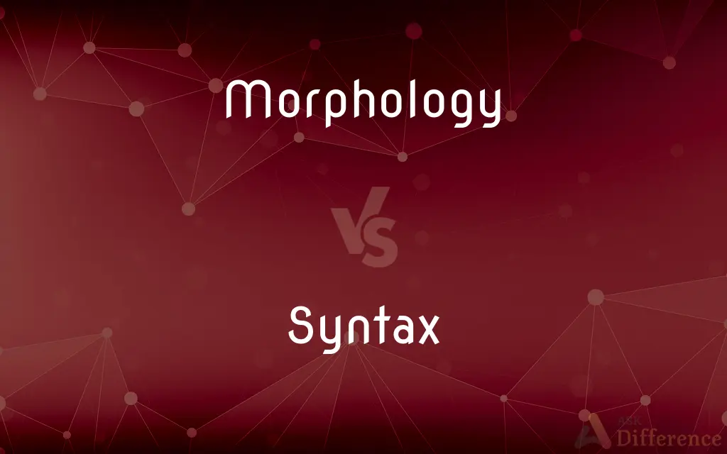 Morphology vs. Syntax — What's the Difference?