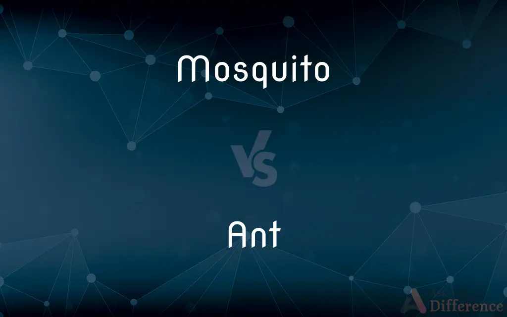 Mosquito vs. Ant — What's the Difference?