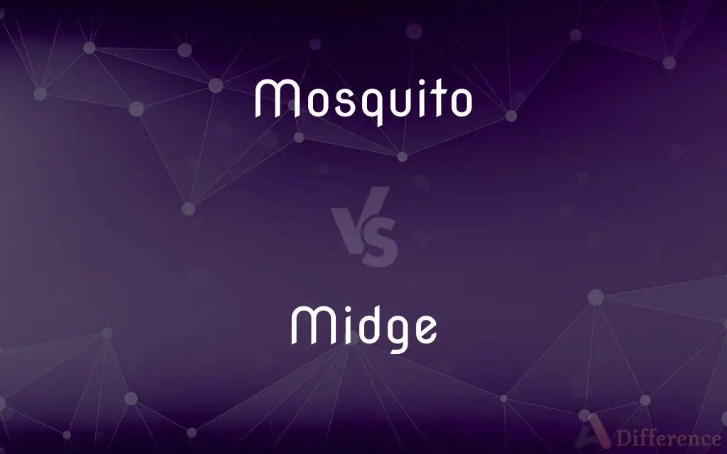 Mosquito vs. Midge — What's the Difference?