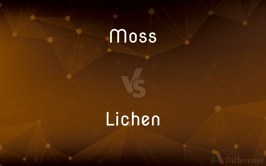 Moss vs. Lichen — What's the Difference?