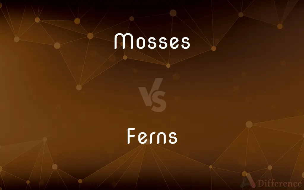 Mosses vs. Ferns