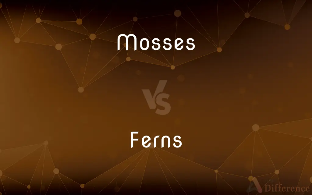 Mosses vs. Ferns — What's the Difference?
