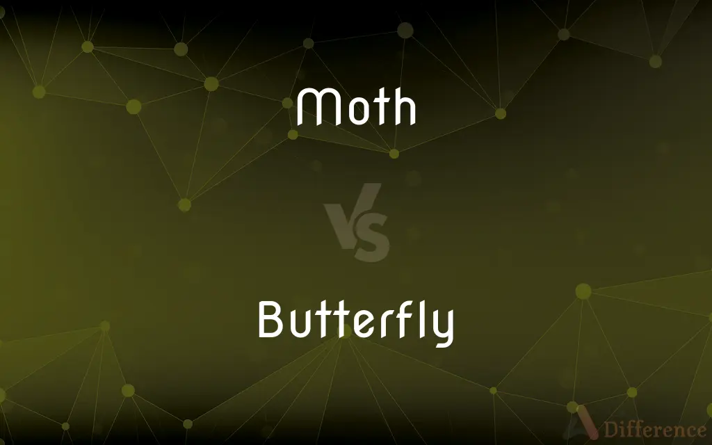 Moth vs. Butterfly — What's the Difference?