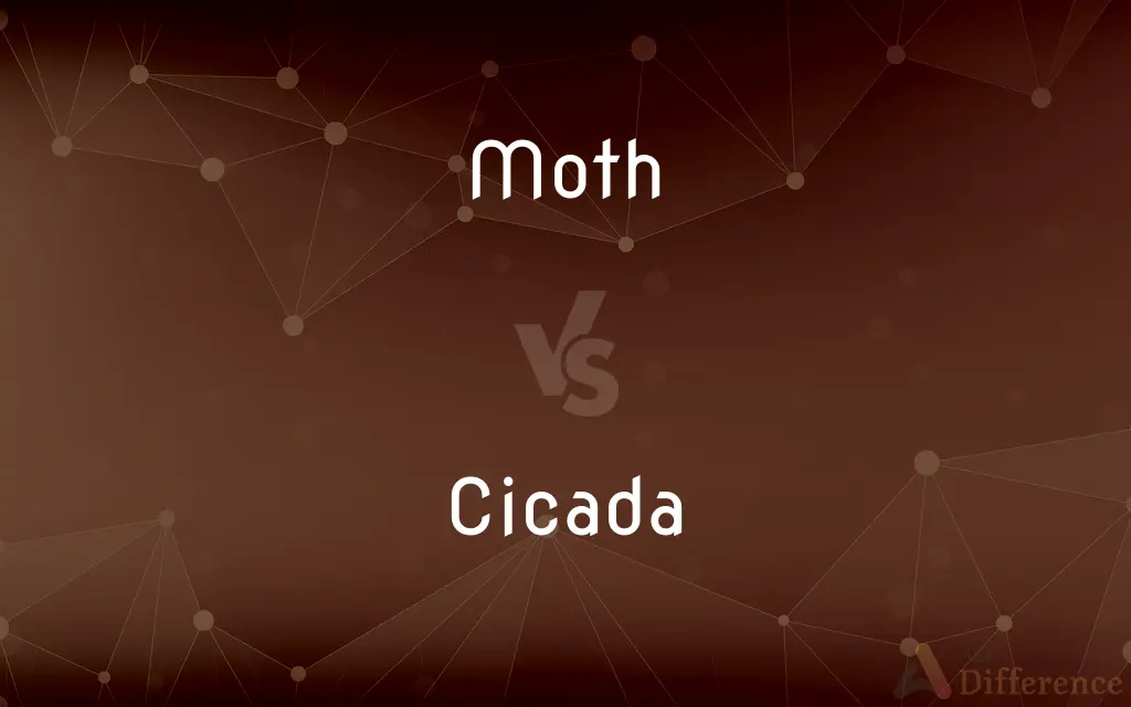 Moth vs. Cicada — What's the Difference?