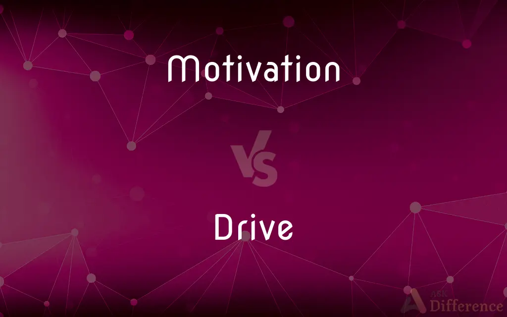 Motivation vs. Drive — What's the Difference?