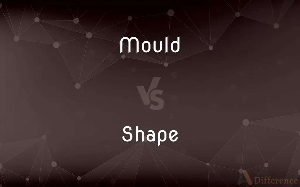 Mould vs. Shape — What's the Difference?