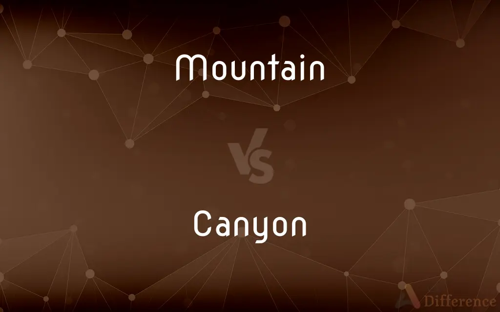 Mountain vs. Canyon — What's the Difference?