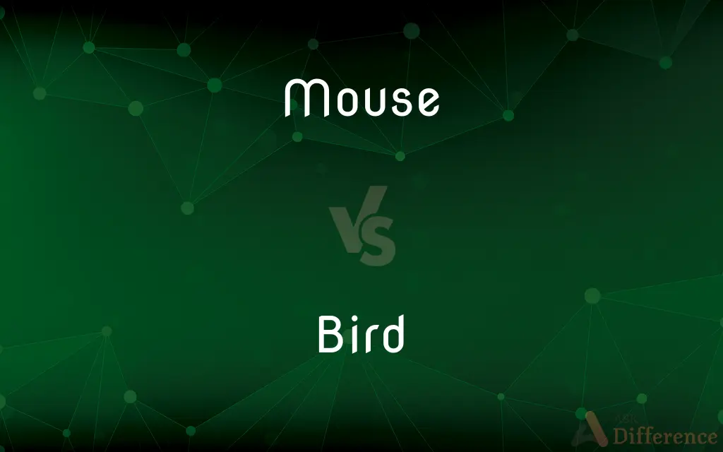 Mouse vs. Bird