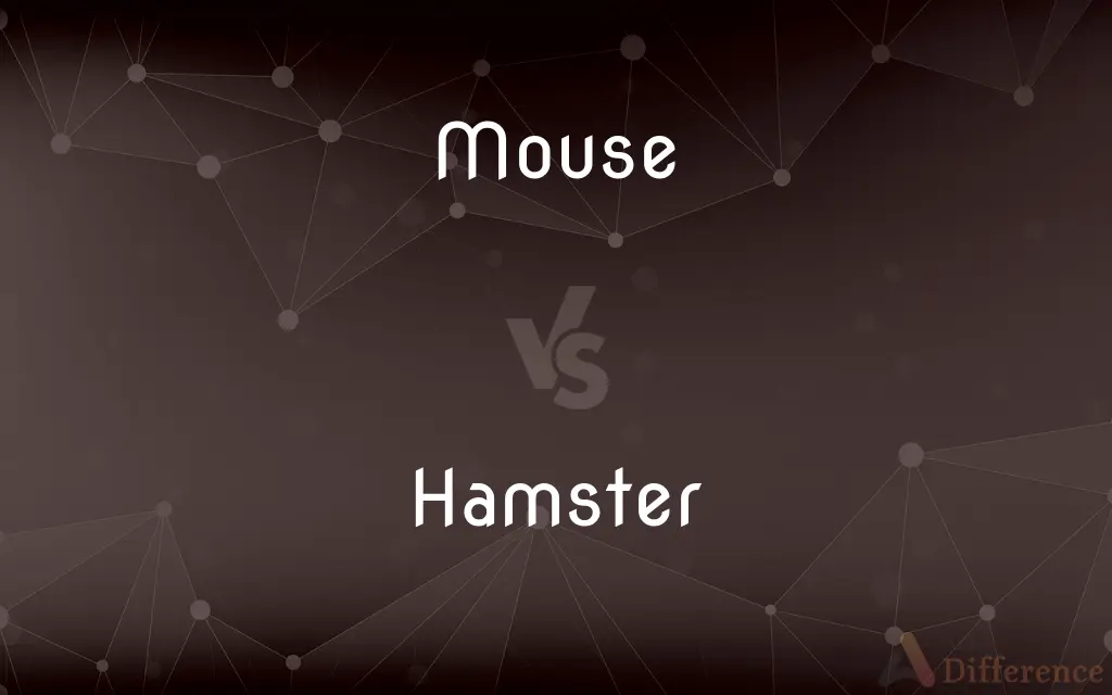 Mouse vs. Hamster — What's the Difference?
