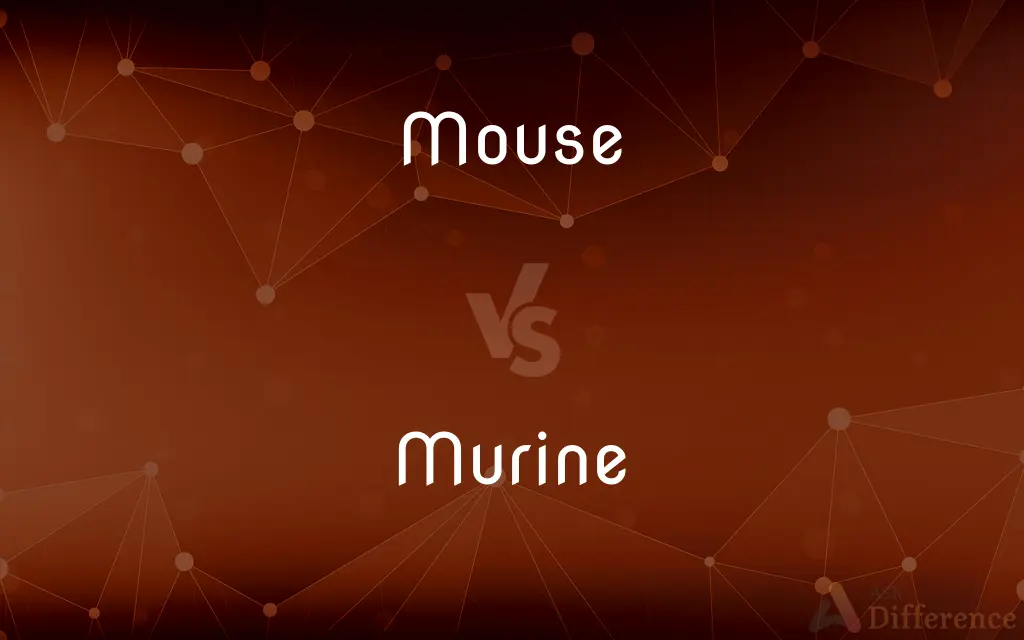 Mouse vs. Murine — What's the Difference?
