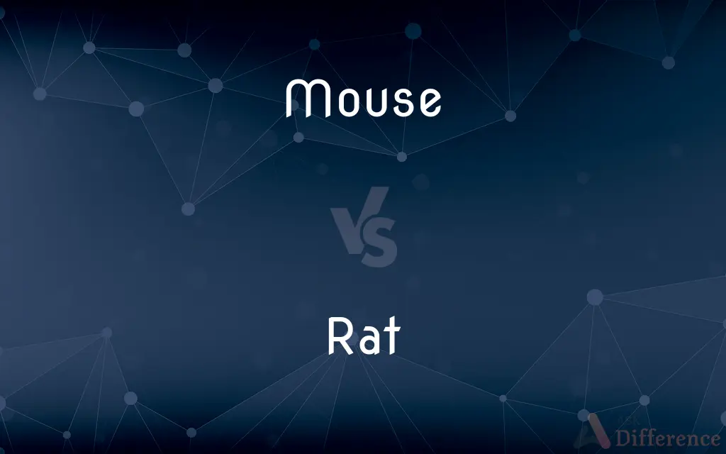 Mouse vs. Rat — What's the Difference?