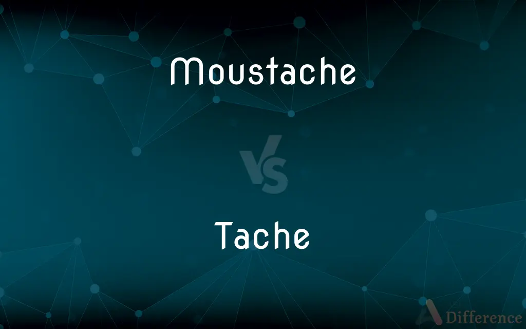 Moustache vs. Tache — What's the Difference?