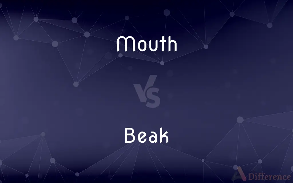 Mouth vs. Beak — What's the Difference?