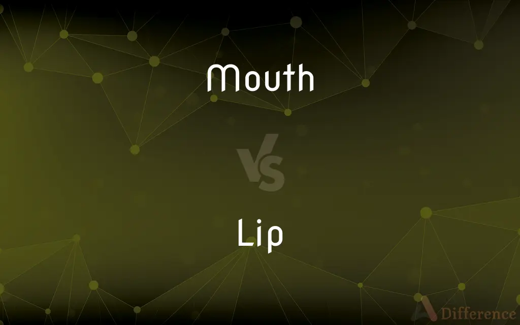 Mouth vs. Lip — What's the Difference?