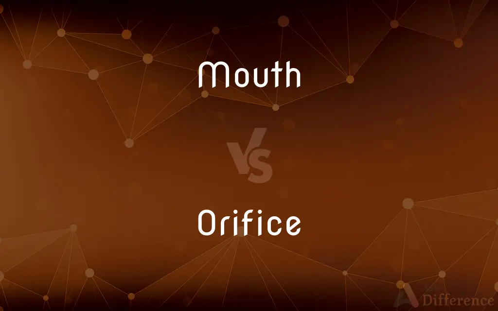 Mouth vs. Orifice — What's the Difference?