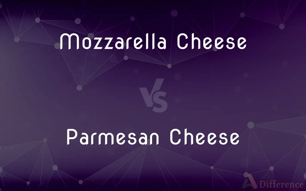 Mozzarella Cheese vs. Parmesan Cheese — What's the Difference?