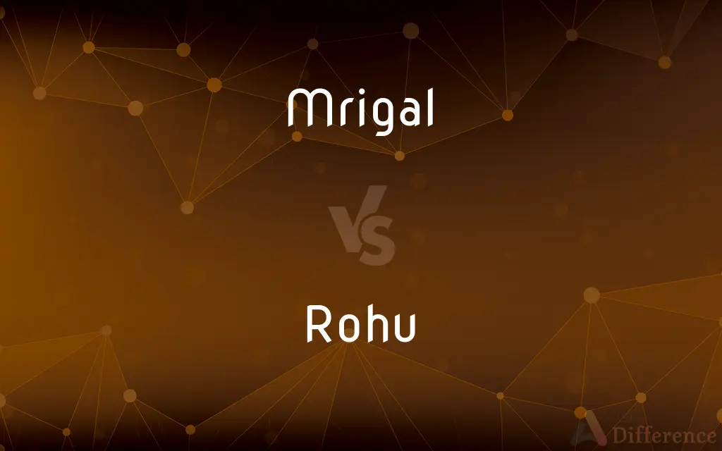 Mrigal vs. Rohu — What's the Difference?