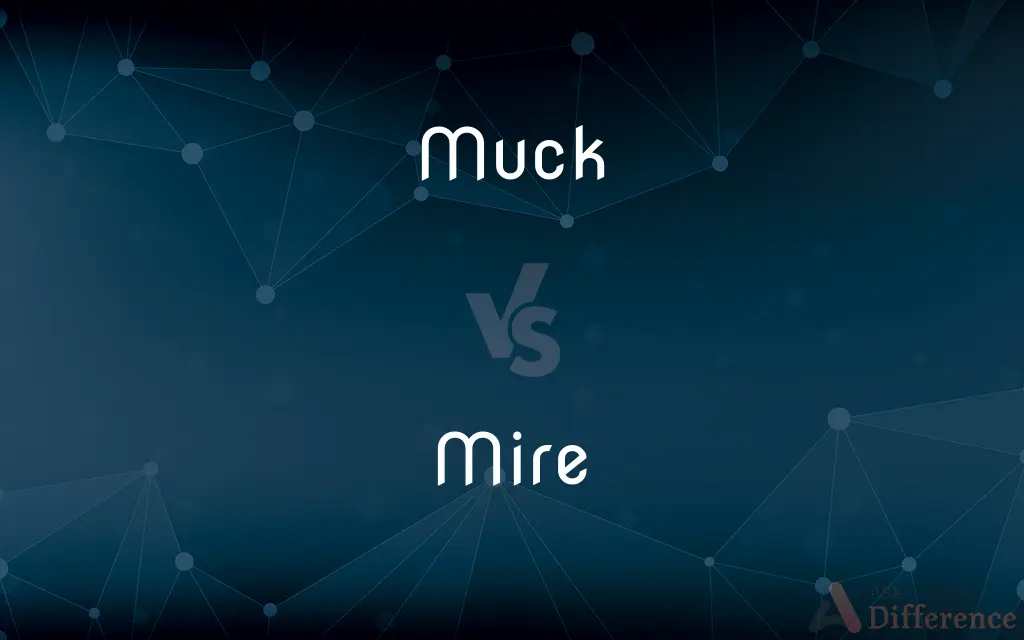 Muck vs. Mire — What's the Difference?