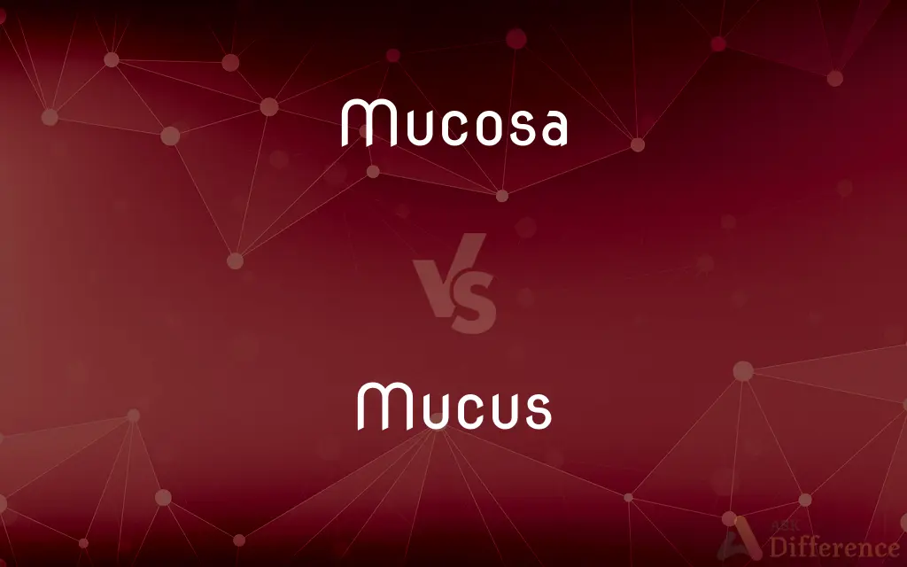 Mucosa vs. Mucus — What's the Difference?