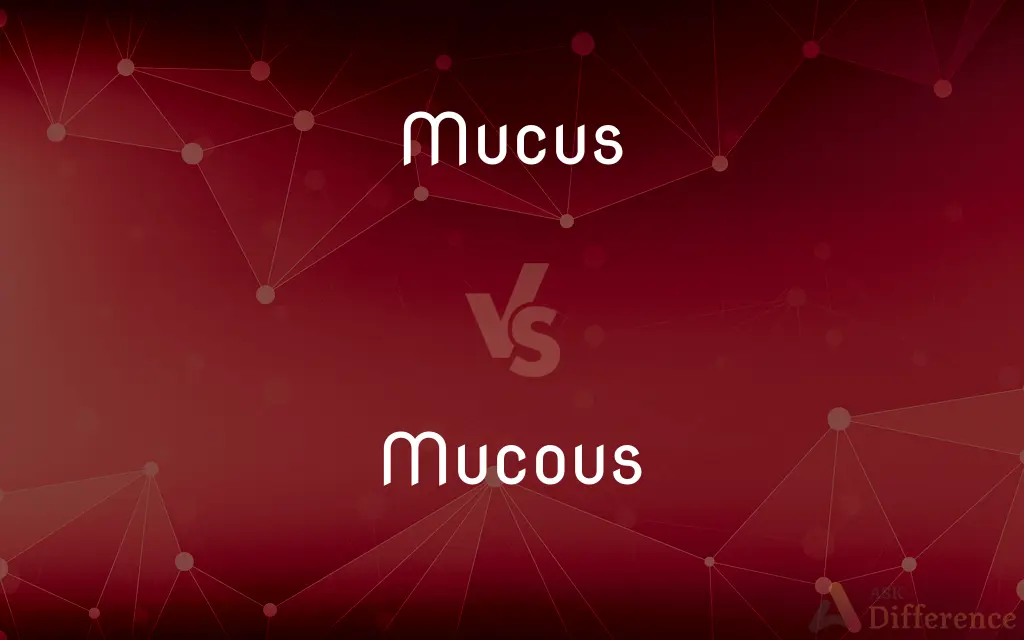 Mucus vs. Mucous — What's the Difference?
