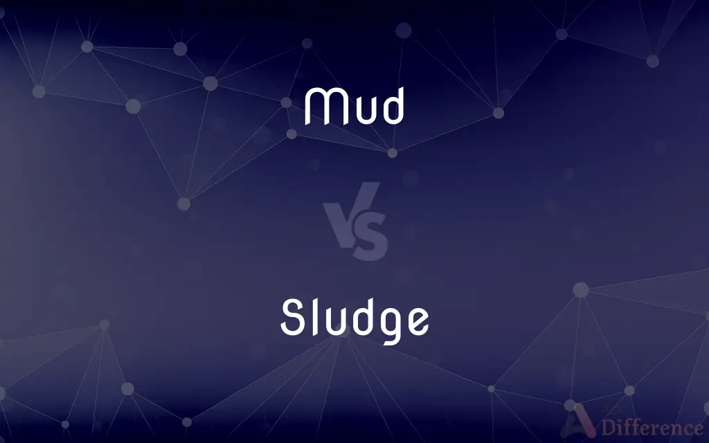 Mud vs. Sludge — What's the Difference?
