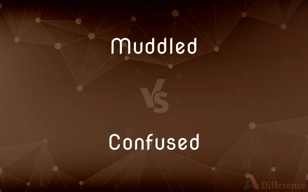 Muddled vs. Confused — What's the Difference?