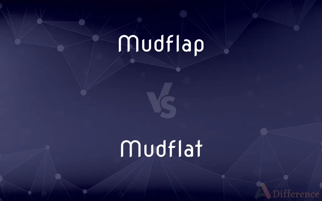 Mudflap vs. Mudflat — What's the Difference?