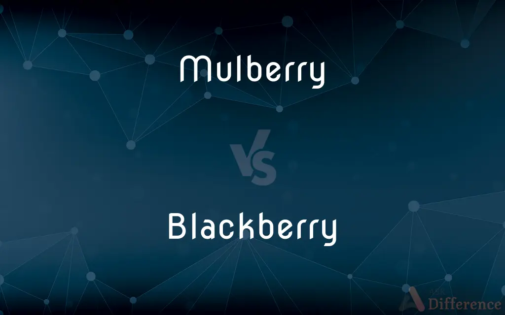 Mulberry vs. Blackberry — What's the Difference?