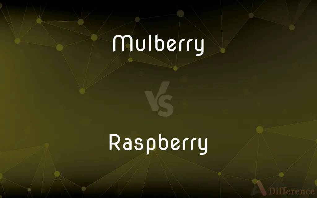 Mulberry vs. Raspberry — What's the Difference?