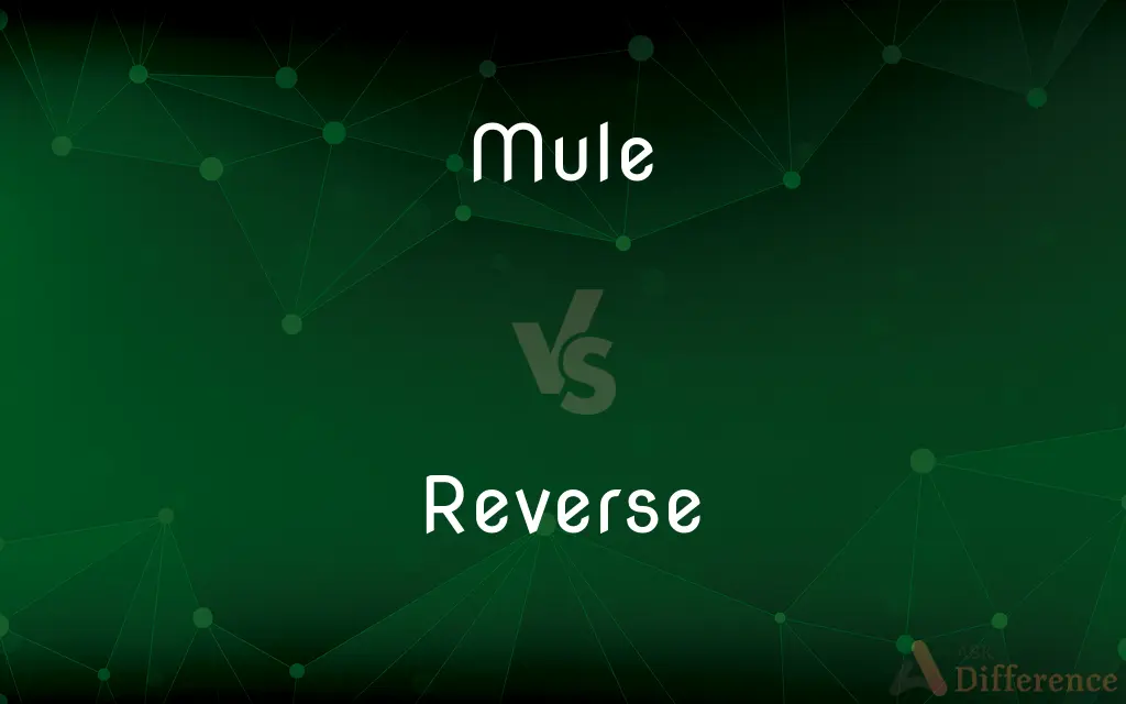 Mule vs. Reverse — What's the Difference?