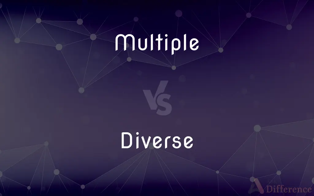 Multiple vs. Diverse — What's the Difference?