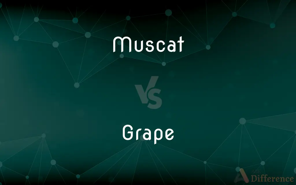 Muscat vs. Grape — What's the Difference?