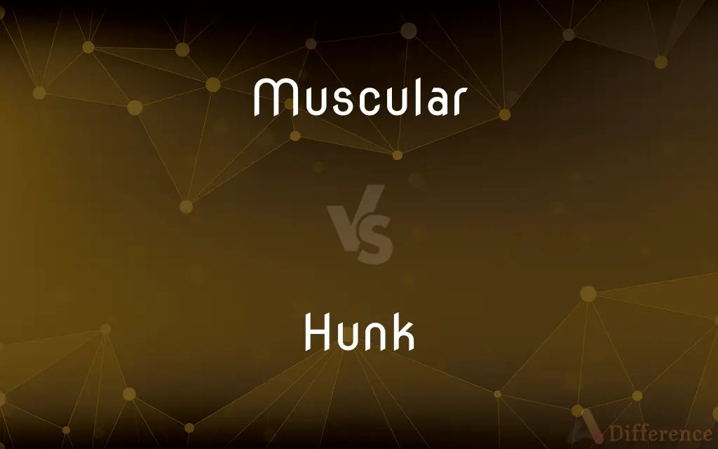 Muscular vs. Hunk — What's the Difference?