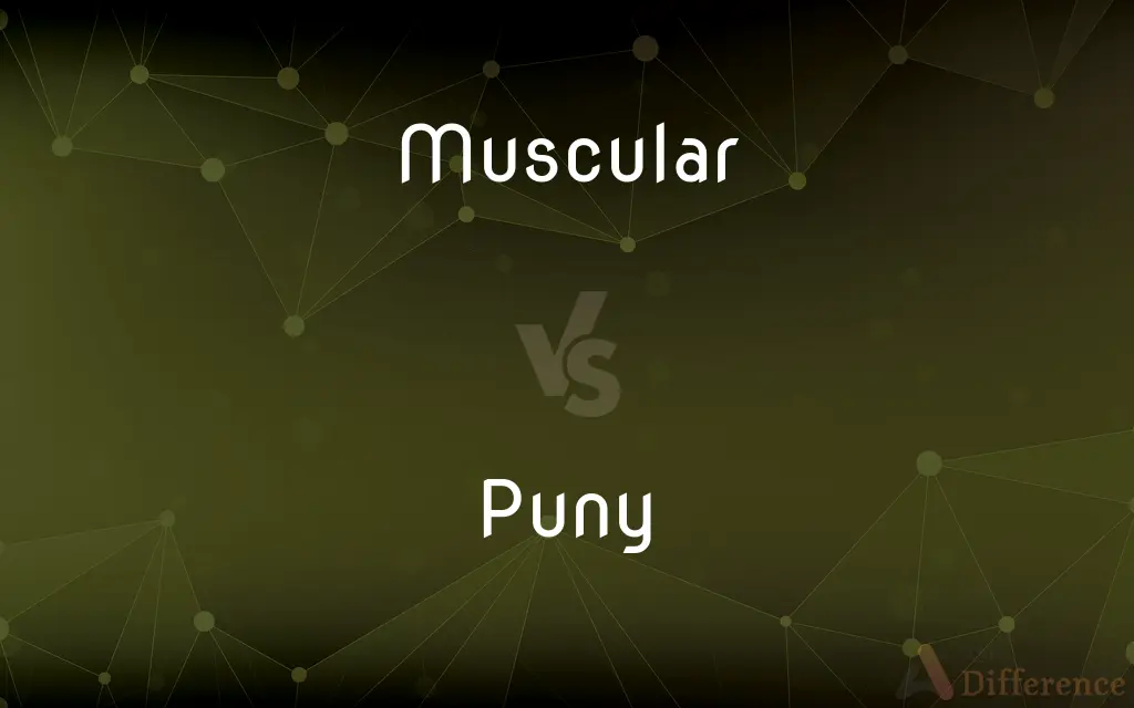 Muscular vs. Puny — What's the Difference?