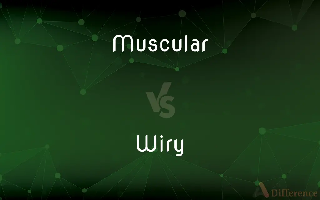 Muscular vs. Wiry — What's the Difference?