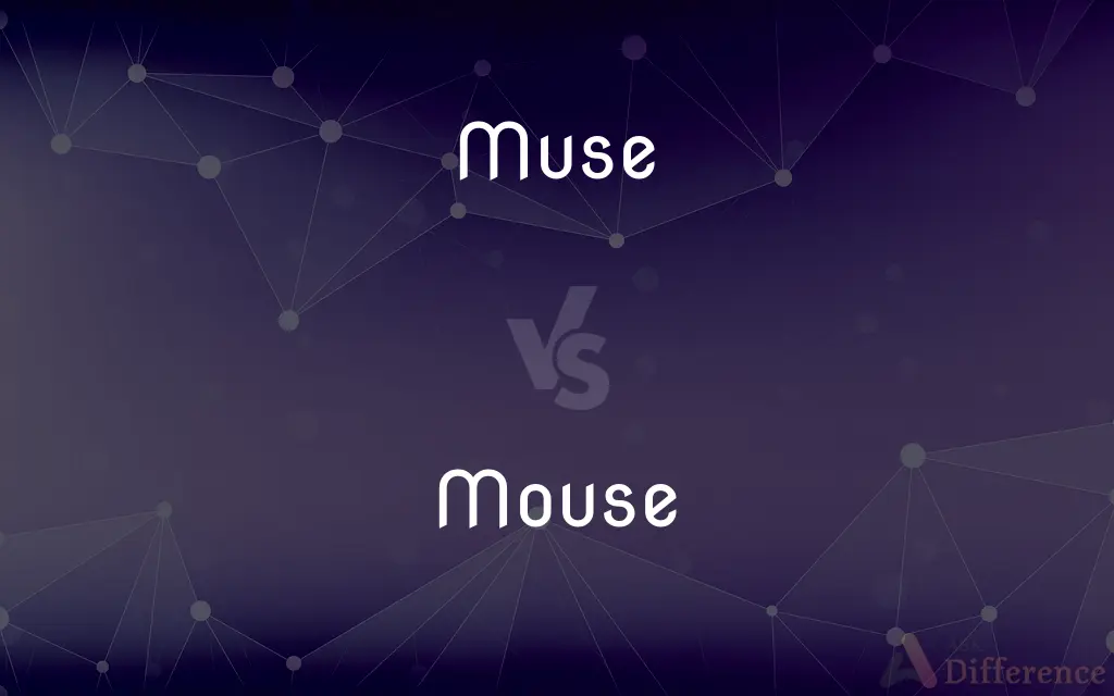 Muse vs. Mouse — What's the Difference?