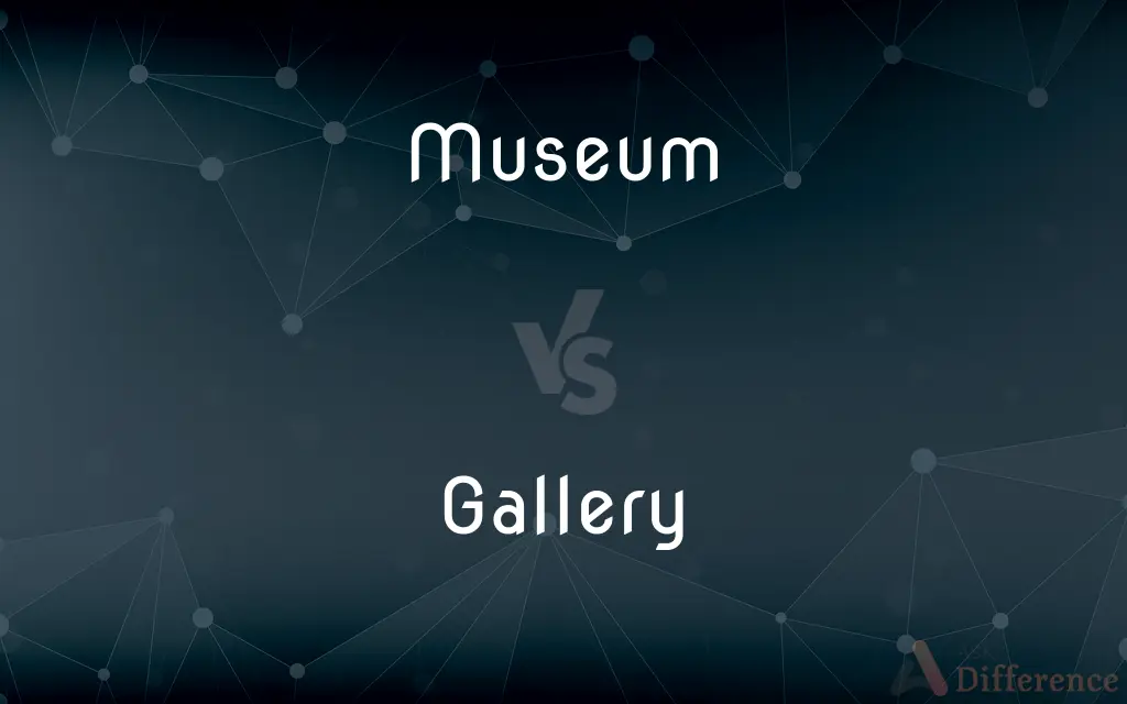 Museum vs. Gallery — What's the Difference?