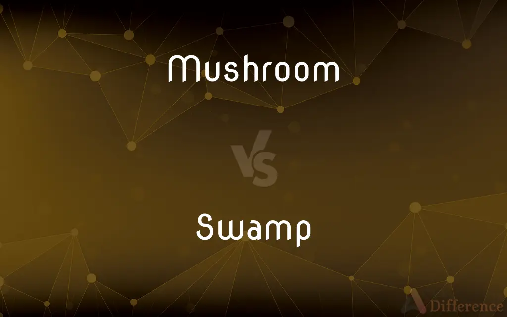 Mushroom vs. Swamp — What's the Difference?
