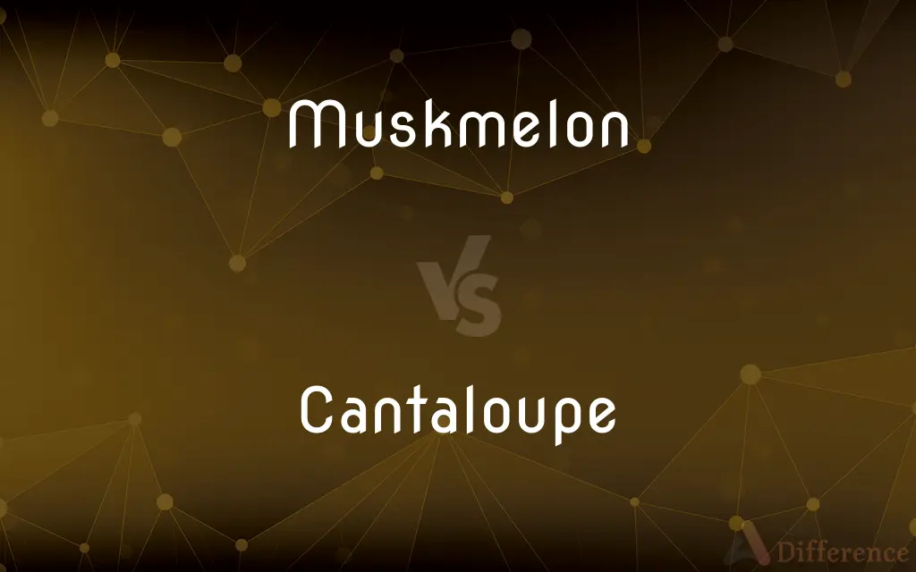 Muskmelon vs. Cantaloupe — What's the Difference?