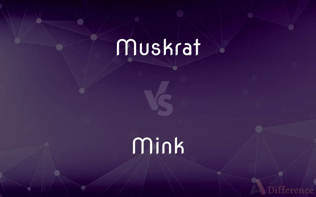 Muskrat vs. Mink — What's the Difference?