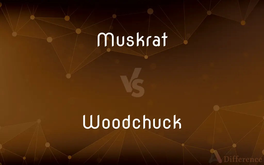 Muskrat vs. Woodchuck — What's the Difference?