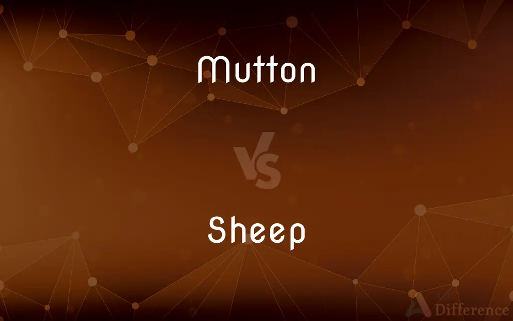 Mutton vs. Sheep — What's the Difference?