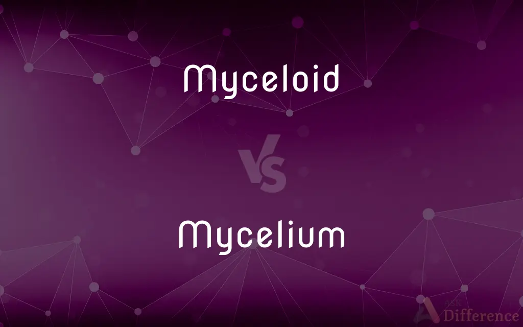 Myceloid vs. Mycelium — What's the Difference?